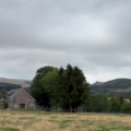 Beyond Grazing: Understanding the Multifunctionality of Grasslands